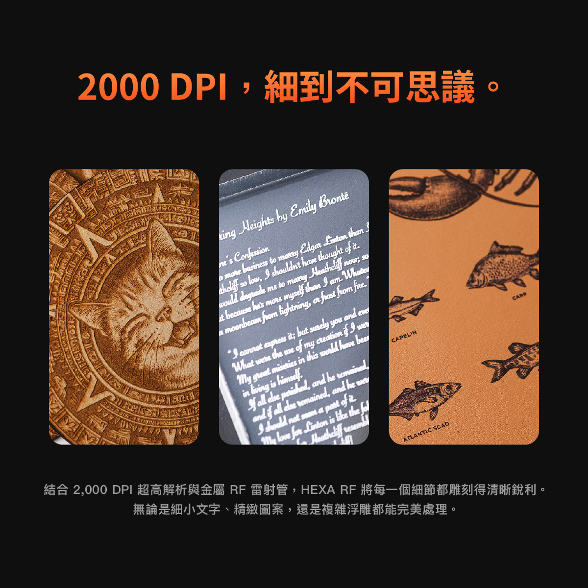 HEXA RF 金屬雷射管雷射雕刻機